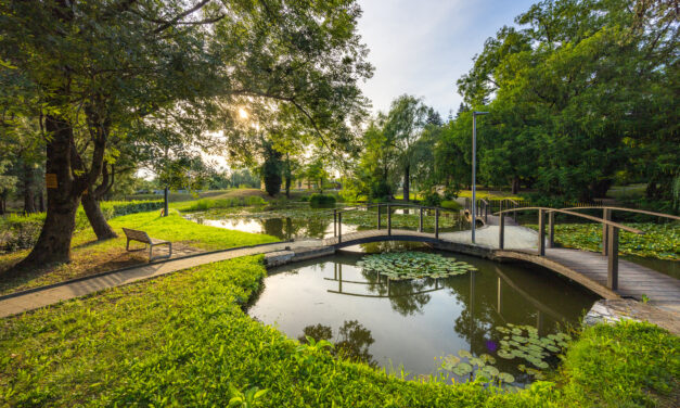 Kindlerjev botanični park – mestni park v Ilirski Bistrici