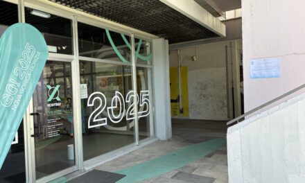 Slovenke in Slovenci v politiki in diplomaciji drugih držav